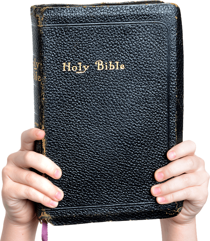 hands holding up the Bible